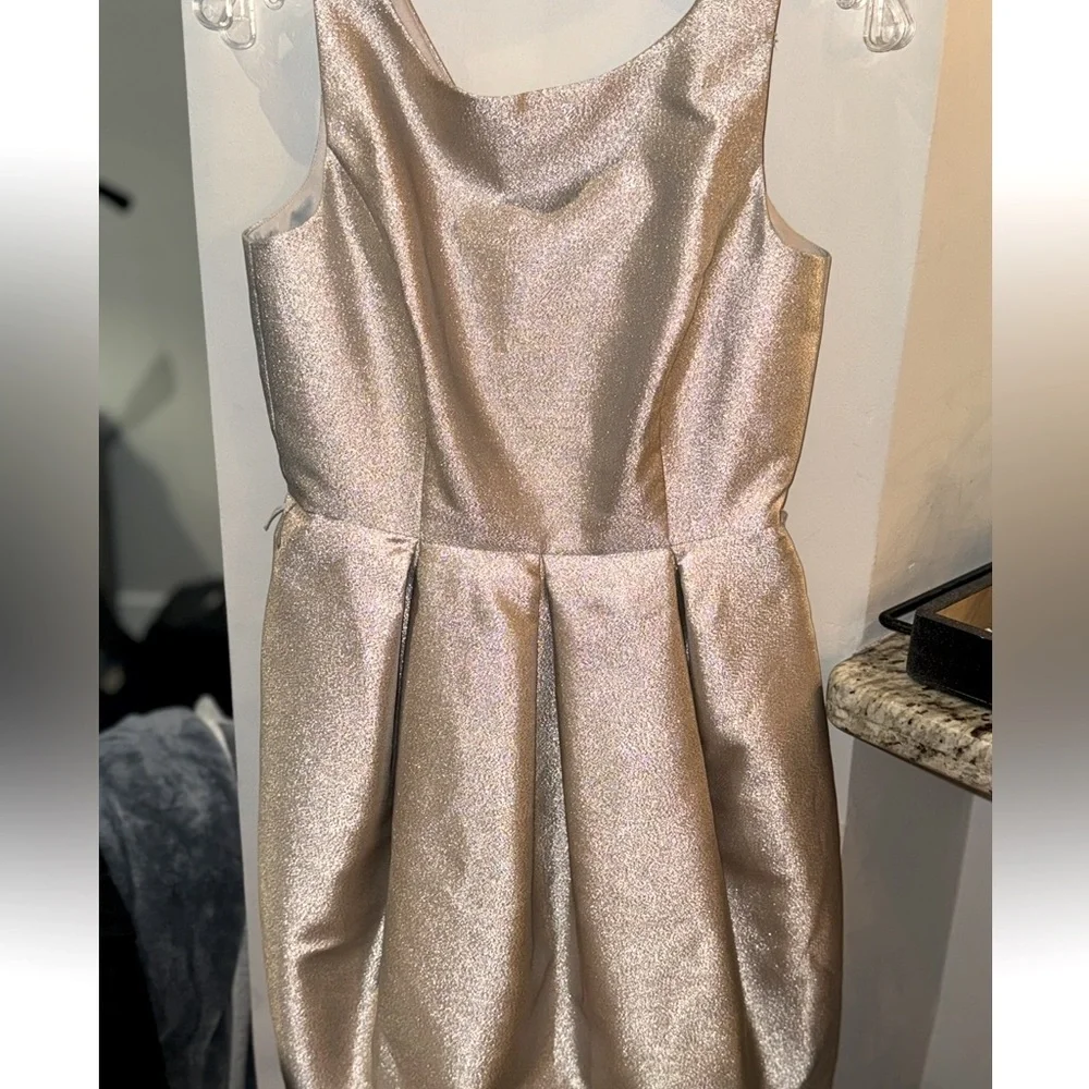 White House Black Market Champagne Glitter Cocktail Holiday NYE Dress Size 2 - Picture 2 of 15